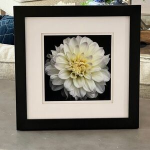 Framed White Flower Art Print